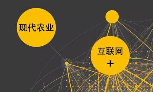 基于物聯(lián)網(wǎng)技術(shù)的智慧農(nóng)業(yè)介紹