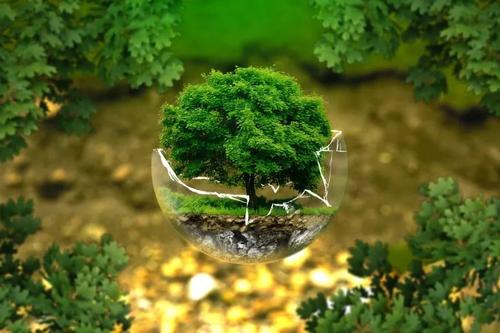 智慧農(nóng)業(yè)讓昔日貧困村插上“金翅膀” 走出一條